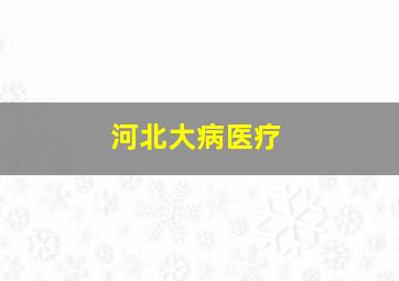 河北大病医疗