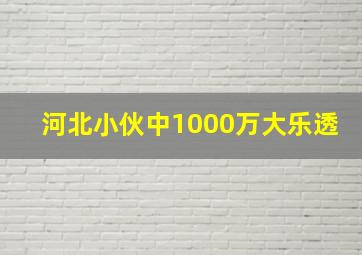 河北小伙中1000万大乐透