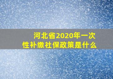 河北省2020年一次性补缴社保政策是什么