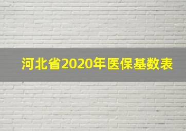 河北省2020年医保基数表