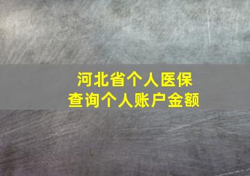 河北省个人医保查询个人账户金额