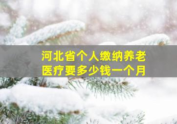 河北省个人缴纳养老医疗要多少钱一个月