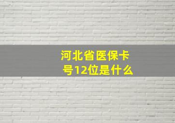 河北省医保卡号12位是什么