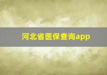 河北省医保查询app