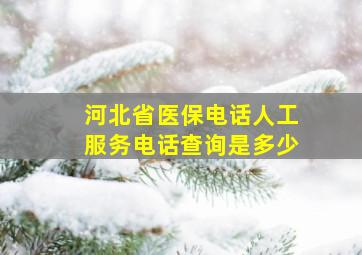 河北省医保电话人工服务电话查询是多少