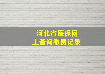 河北省医保网上查询缴费记录