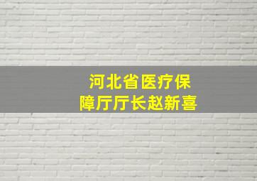 河北省医疗保障厅厅长赵新喜