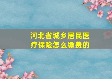 河北省城乡居民医疗保险怎么缴费的