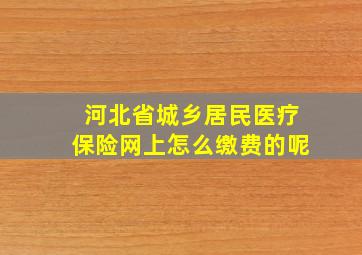 河北省城乡居民医疗保险网上怎么缴费的呢