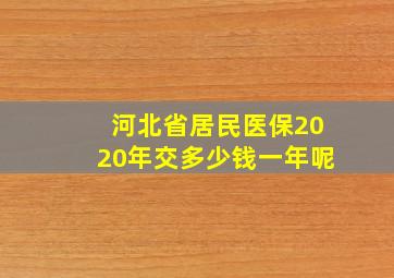 河北省居民医保2020年交多少钱一年呢