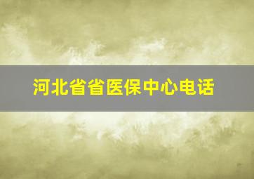 河北省省医保中心电话