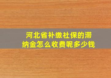 河北省补缴社保的滞纳金怎么收费呢多少钱