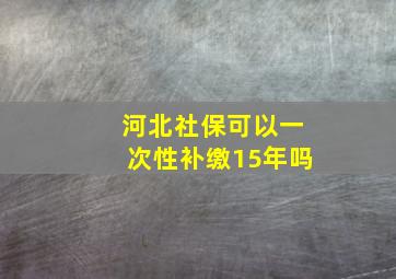 河北社保可以一次性补缴15年吗