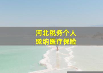 河北税务个人缴纳医疗保险