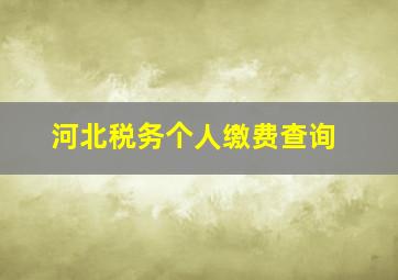 河北税务个人缴费查询