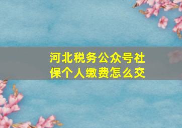 河北税务公众号社保个人缴费怎么交