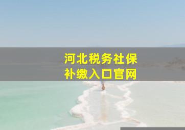 河北税务社保补缴入口官网