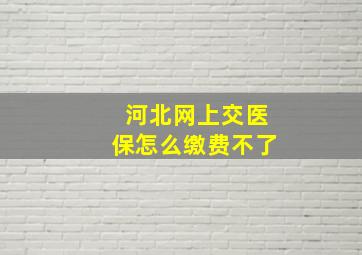 河北网上交医保怎么缴费不了