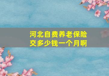 河北自费养老保险交多少钱一个月啊