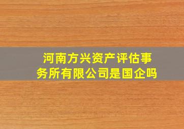 河南方兴资产评估事务所有限公司是国企吗