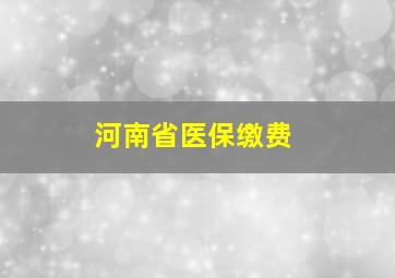 河南省医保缴费