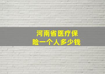 河南省医疗保险一个人多少钱