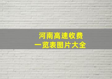 河南高速收费一览表图片大全