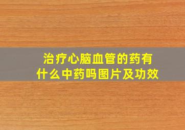 治疗心脑血管的药有什么中药吗图片及功效