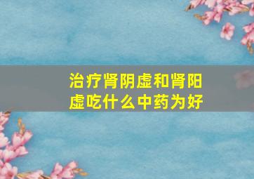 治疗肾阴虚和肾阳虚吃什么中药为好