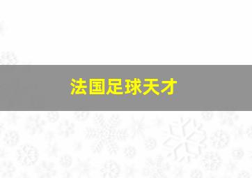 法国足球天才