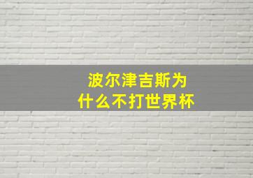 波尔津吉斯为什么不打世界杯