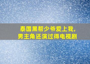 泰国黑帮少爷爱上我,男主角还演过得电视剧