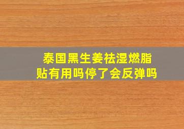 泰国黑生姜祛湿燃脂贴有用吗停了会反弹吗