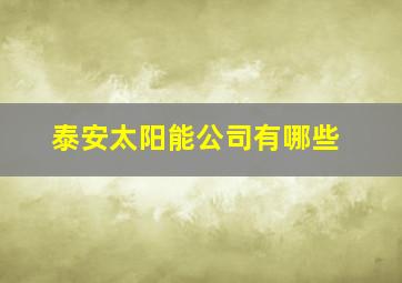 泰安太阳能公司有哪些