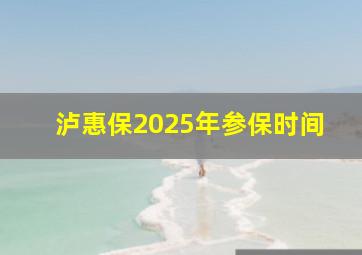 泸惠保2025年参保时间