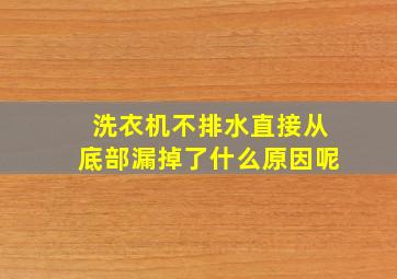 洗衣机不排水直接从底部漏掉了什么原因呢