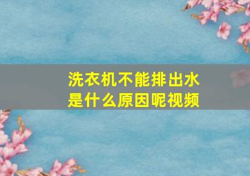 洗衣机不能排出水是什么原因呢视频