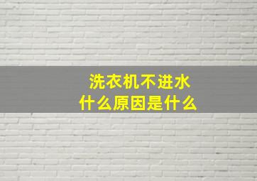 洗衣机不进水什么原因是什么