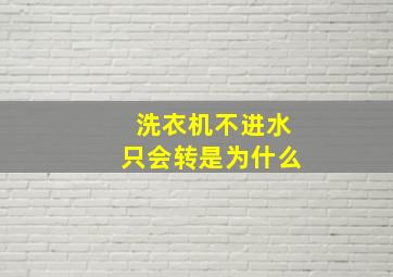 洗衣机不进水只会转是为什么