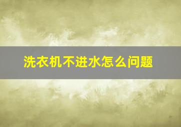 洗衣机不进水怎么问题