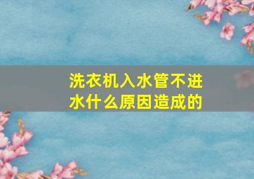 洗衣机入水管不进水什么原因造成的