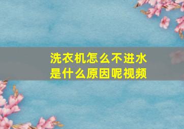 洗衣机怎么不进水是什么原因呢视频