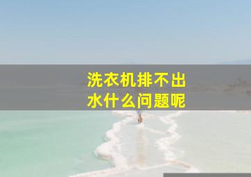 洗衣机排不出水什么问题呢