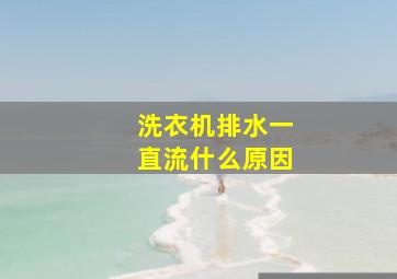 洗衣机排水一直流什么原因