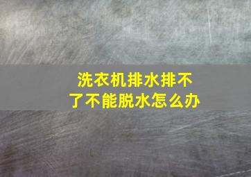 洗衣机排水排不了不能脱水怎么办