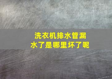 洗衣机排水管漏水了是哪里坏了呢