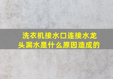 洗衣机接水口连接水龙头漏水是什么原因造成的