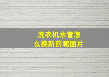 洗衣机水管怎么换新的呢图片