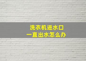 洗衣机进水口一直出水怎么办