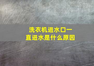 洗衣机进水口一直进水是什么原因